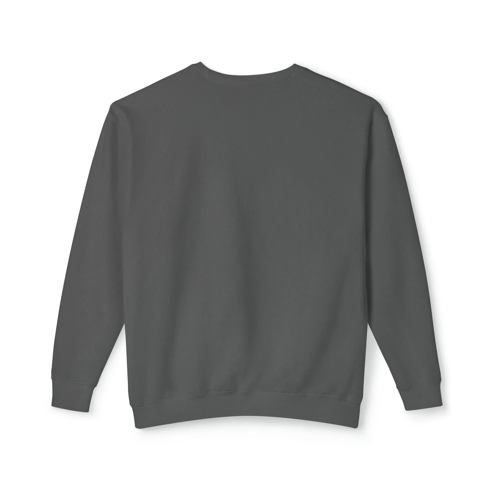 Relaxed Fit Lightweight Crewneck Sweatshirt